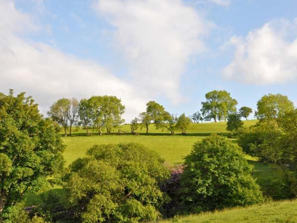 Hendre Aled Farmhouse Llansannan Buitenkant foto